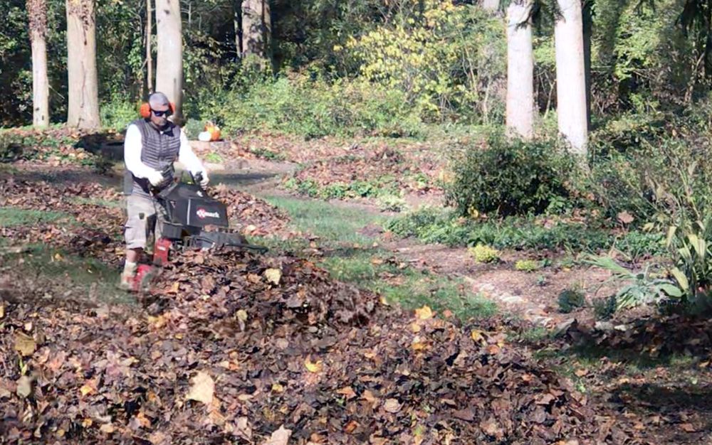 Photo of Martin's Landscaping