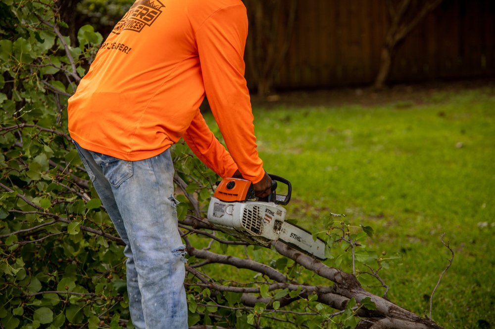 Photo of Brothers Landscape Services