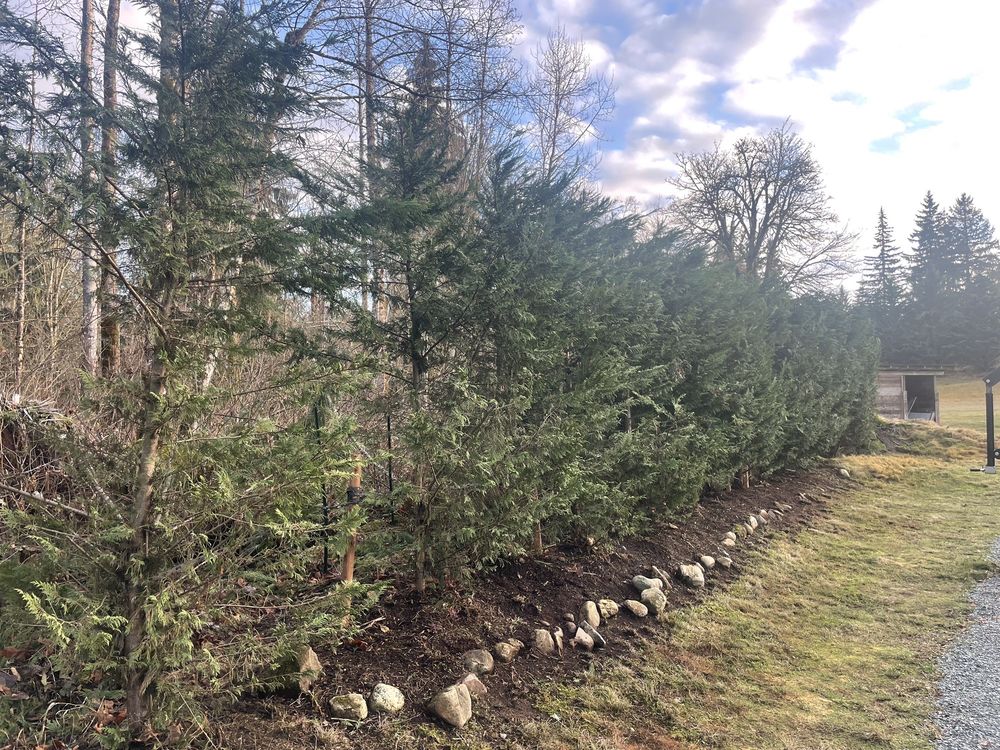 Photo of JP Landscape Services, Inc.