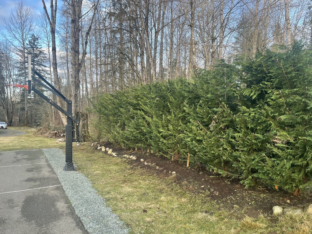 Photo of JP Landscape Services, Inc.