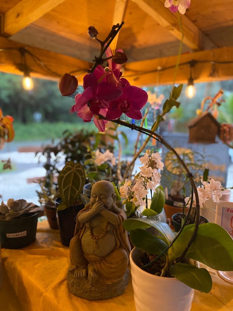 Photo of Zensations Garden