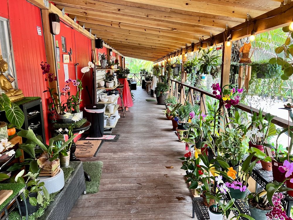 Photo of Zensations Garden