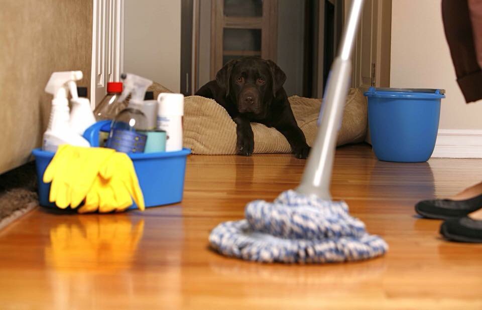 Photo of Crown Star Cleaning Service