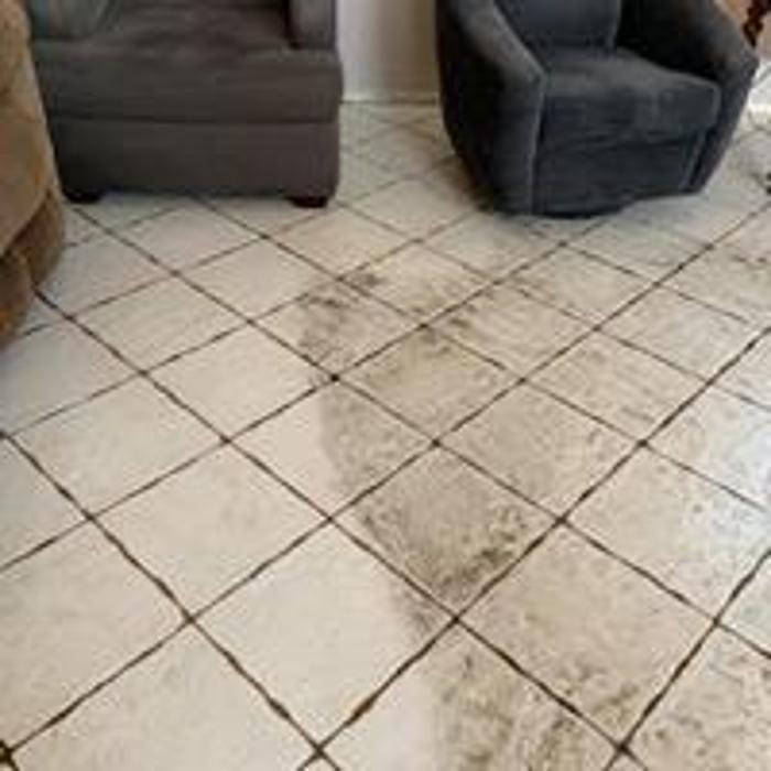 Photo of JT Carpet Cleaning