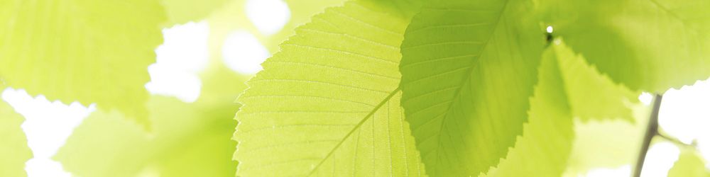 Photo of A&A Landscaping