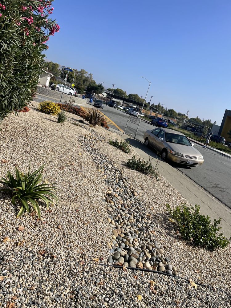Photo of Ismael Ruiz Landscaping & Gardening