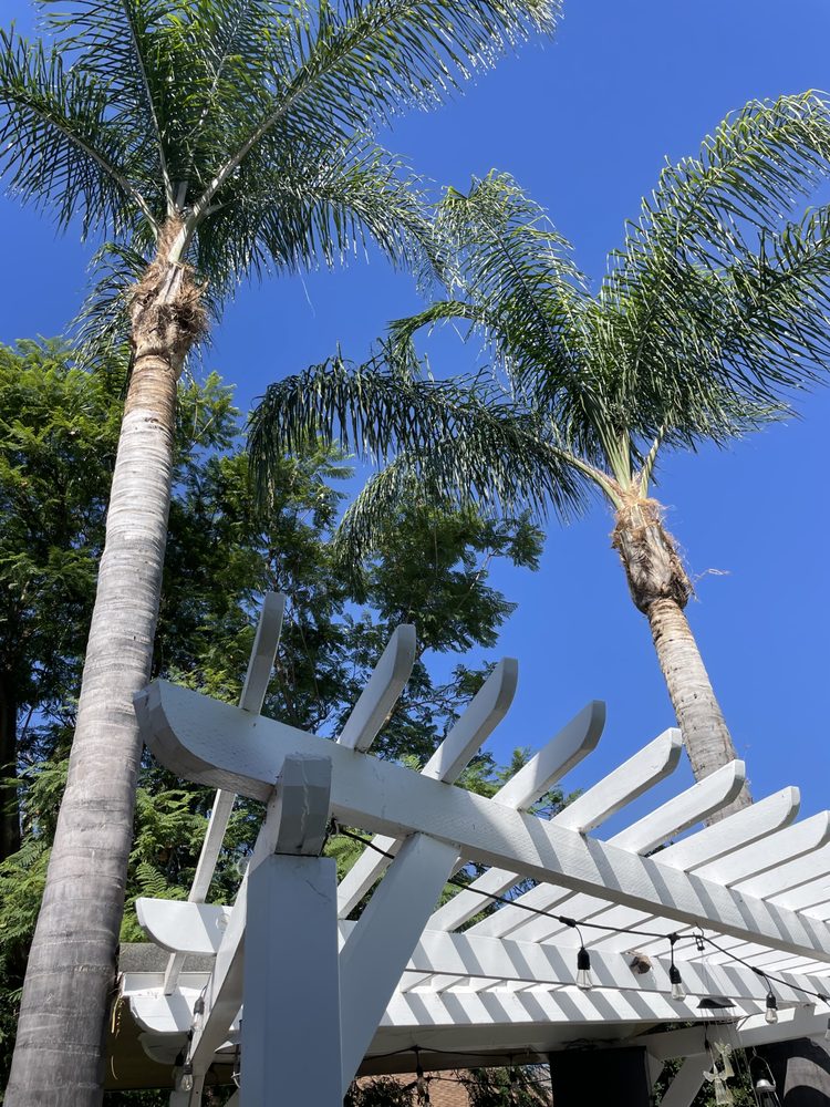 Photo of Ismael Ruiz Landscaping & Gardening