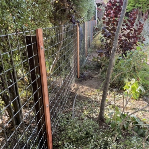 Photo of 777 fencing