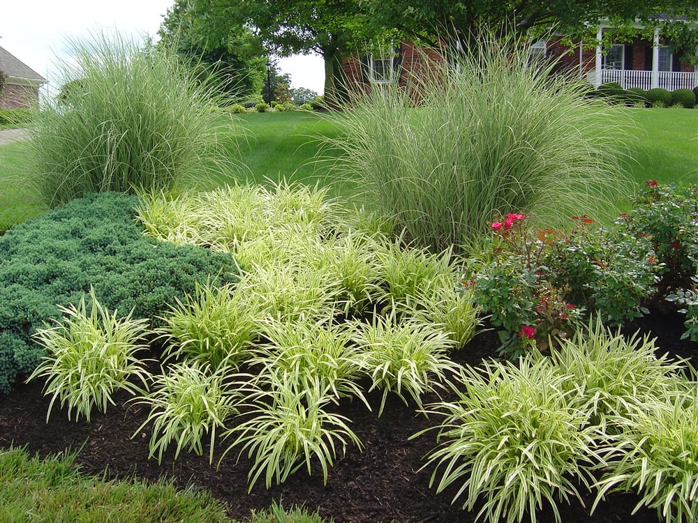 Photo of Daniel Fischer Landscape Nursery