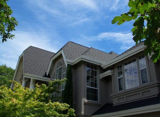 Photo of The Roofer
