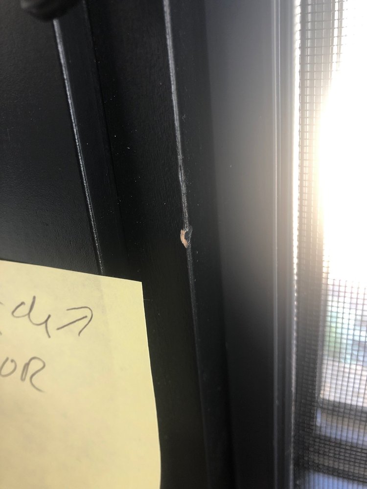 Photo of Quality Window & Door
