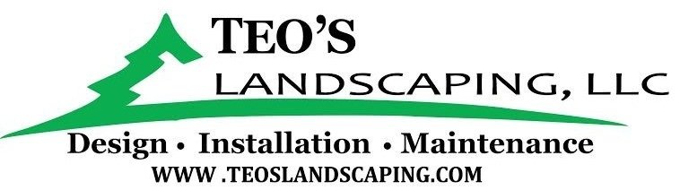 Photo of TEO'S LANDSCAPING
