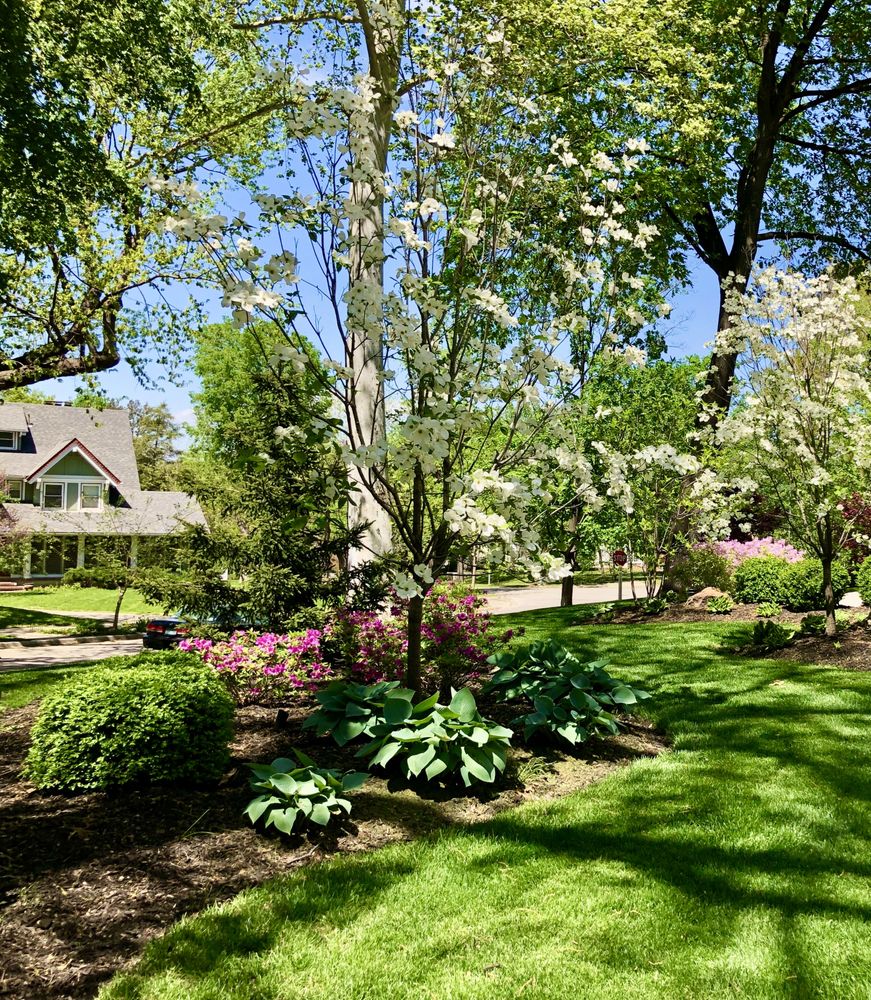Photo of Lawn Envy