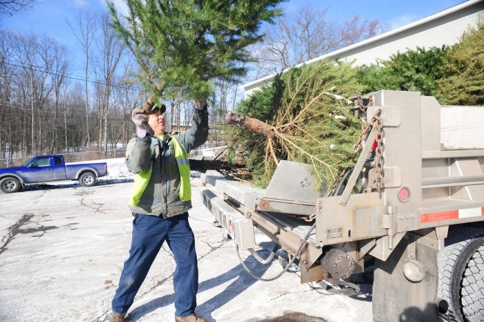 Photo of Big Dawgs Demolition & Dumpster Rental Company