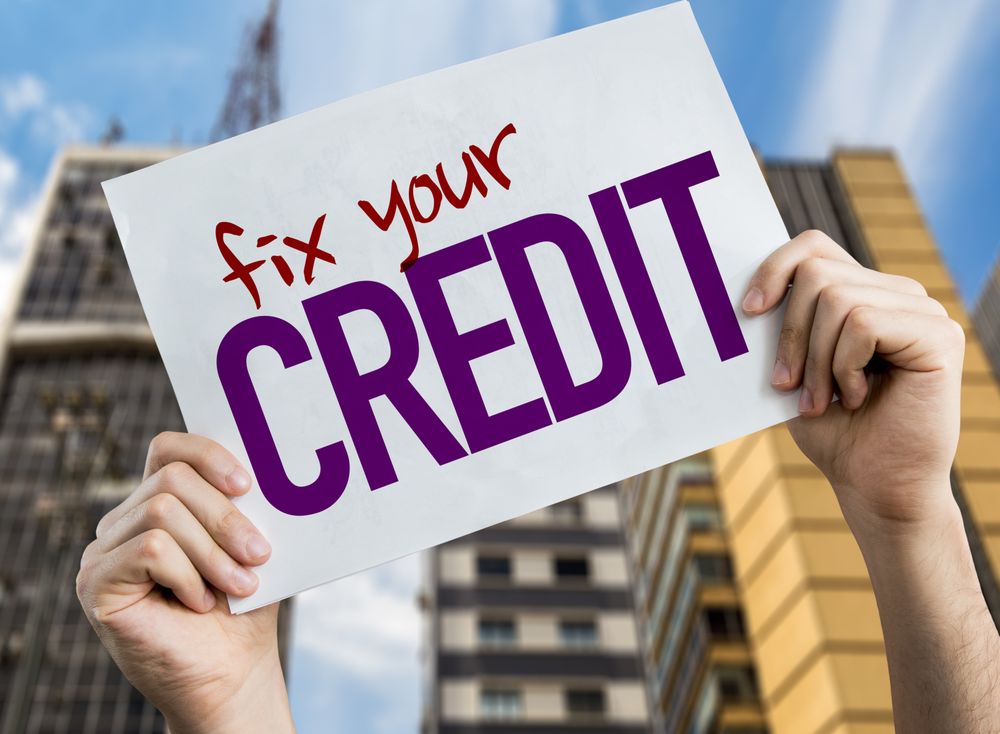 Photo of financial credit cure solutions