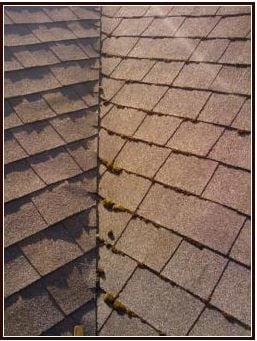 Photo of Performance Roof Care