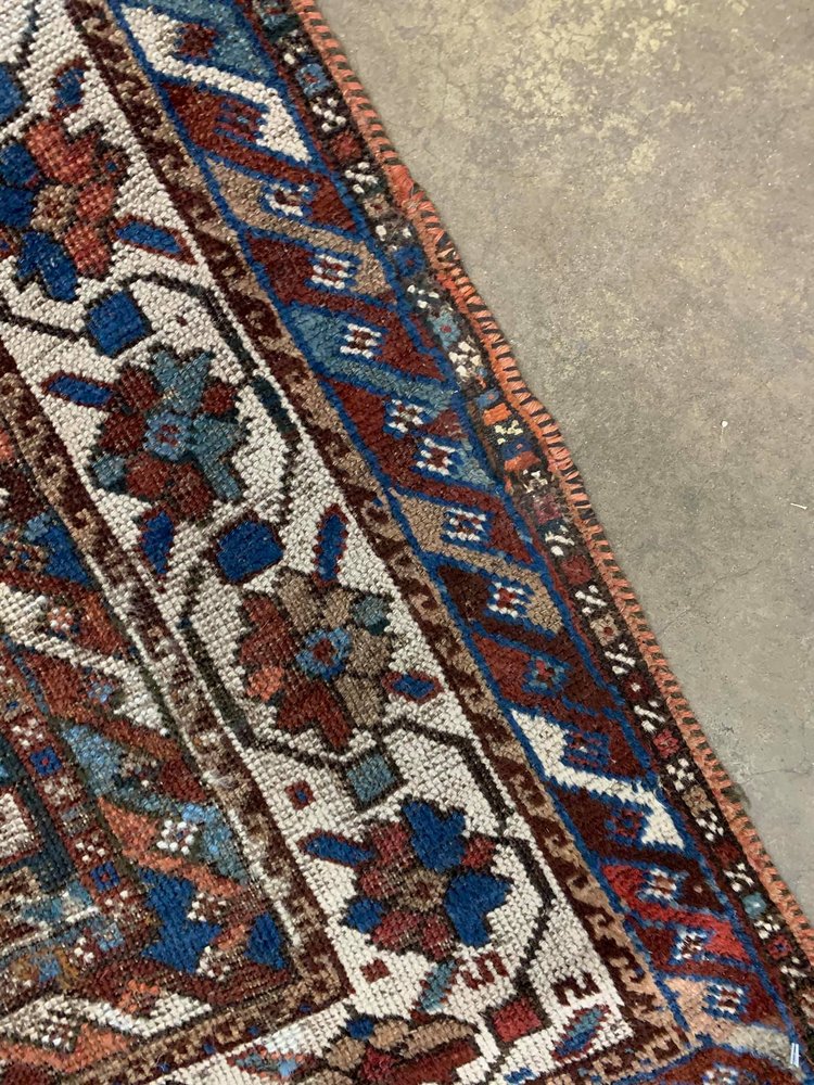 Photo of Elegant Rugs