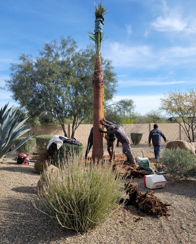 Photo of Power Green Landscaping