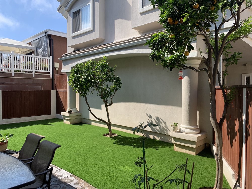 Photo of Stay Green Turf