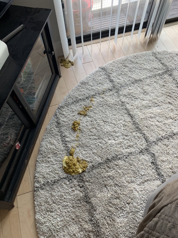 Photo of We Clean Carpet