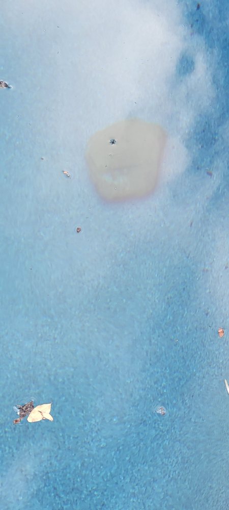 Photo of Texas Best Stain