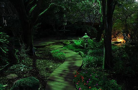 Photo of Ambient Illuminations
