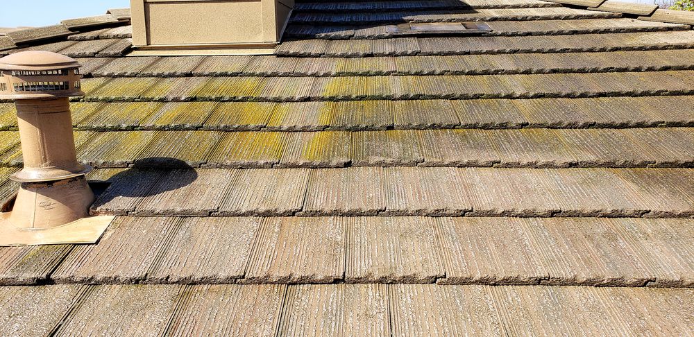 Photo of Viper Cleaning Solutions