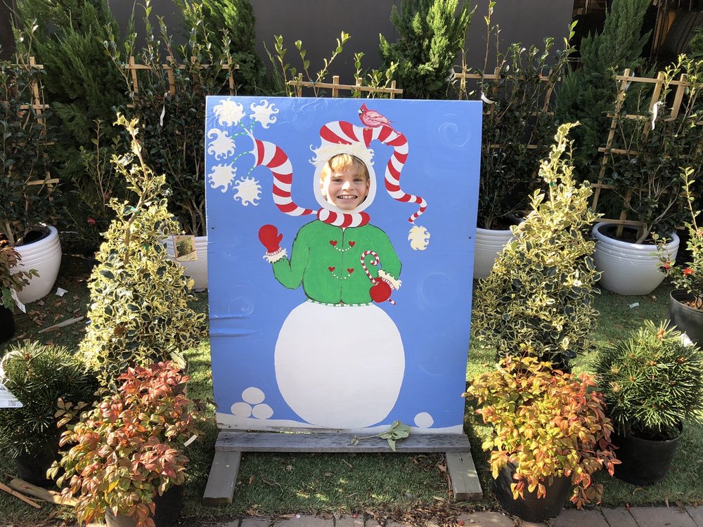 Photo of McDonald Garden Center