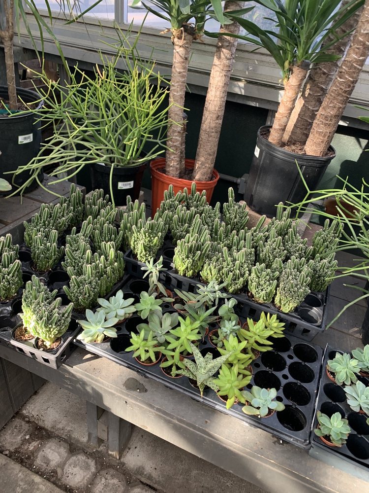 Photo of McDonald Garden Center