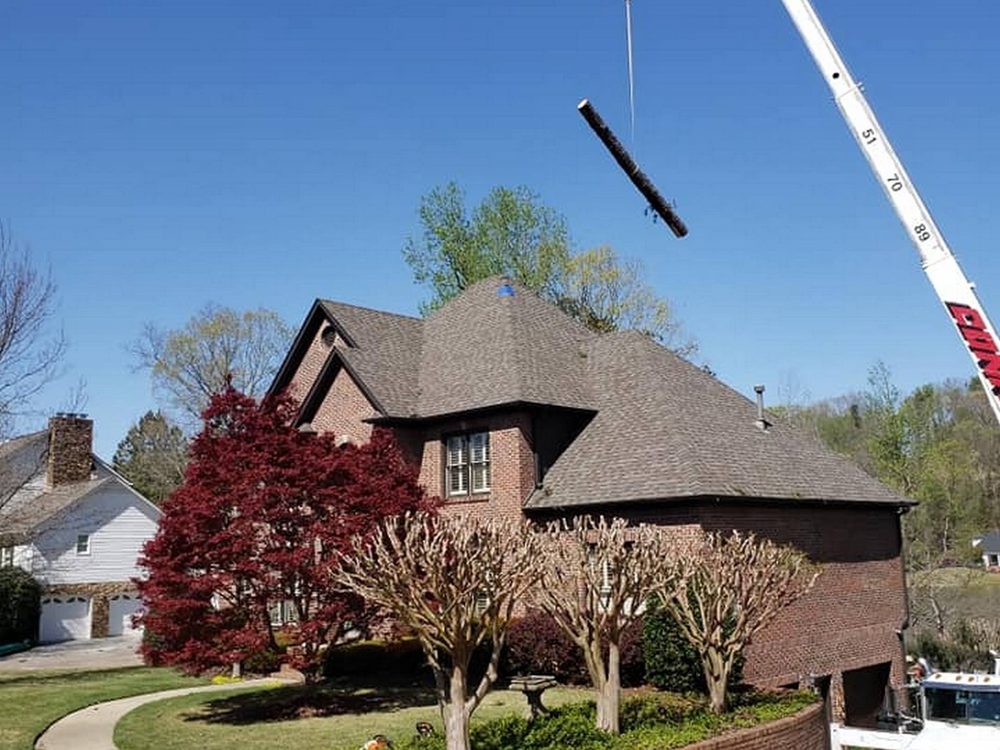 Photo of Myers Tree Service