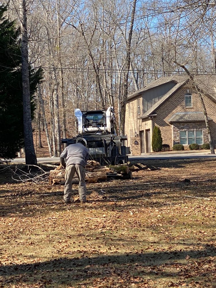 Photo of Myers Tree Service