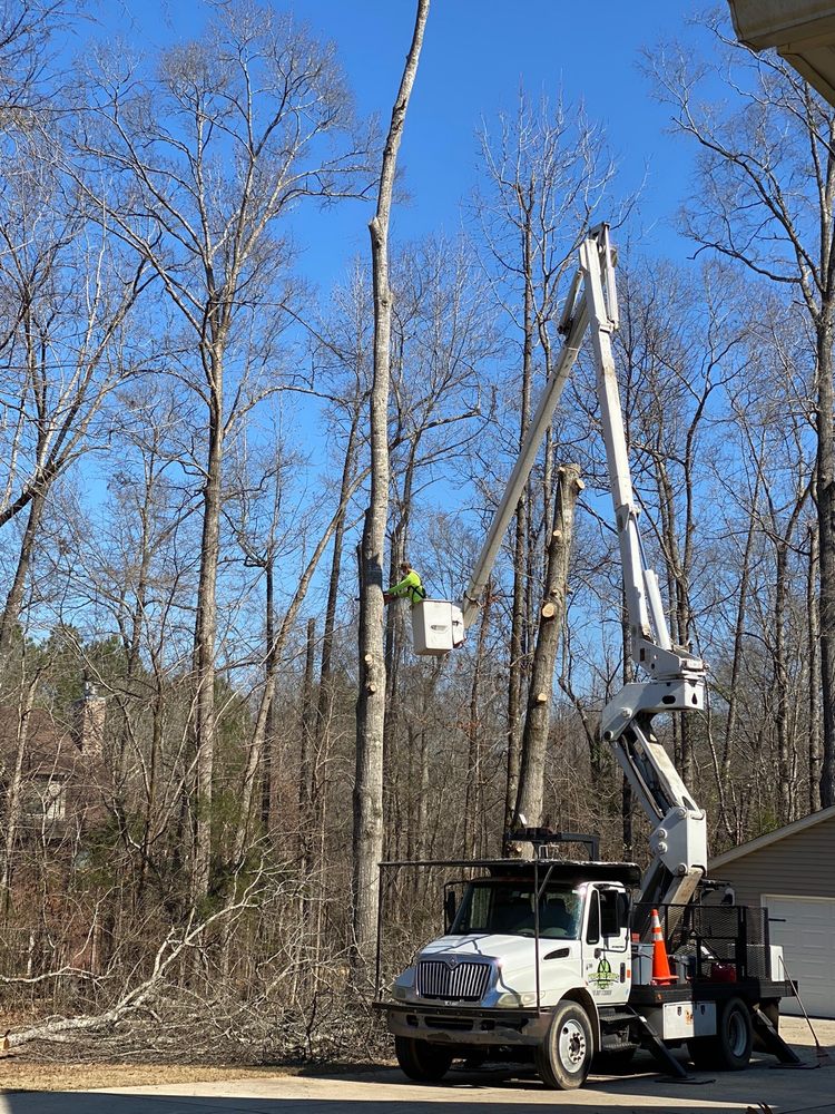 Photo of Myers Tree Service