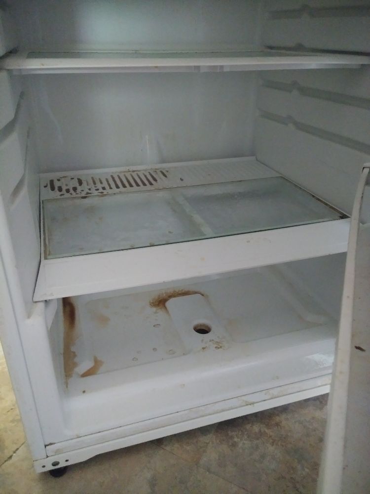 Photo of RLM Cleaning