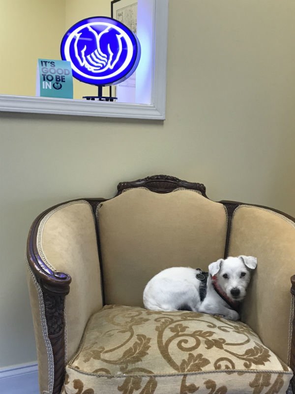 Photo of Allstate Insurance: Sherrye LaCour