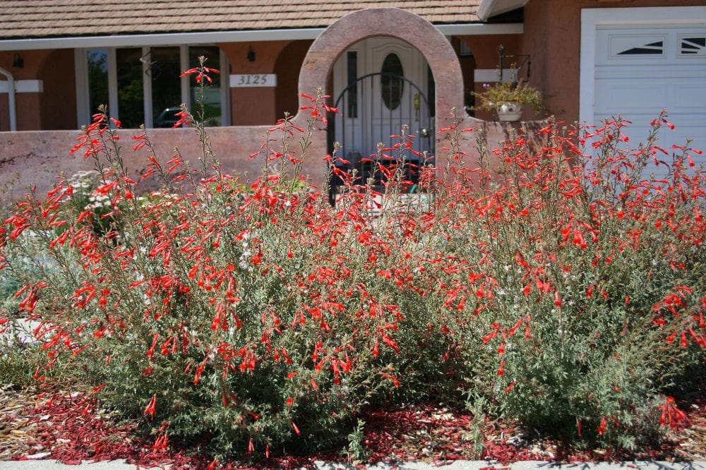 Photo of Sustainable Landscape Design