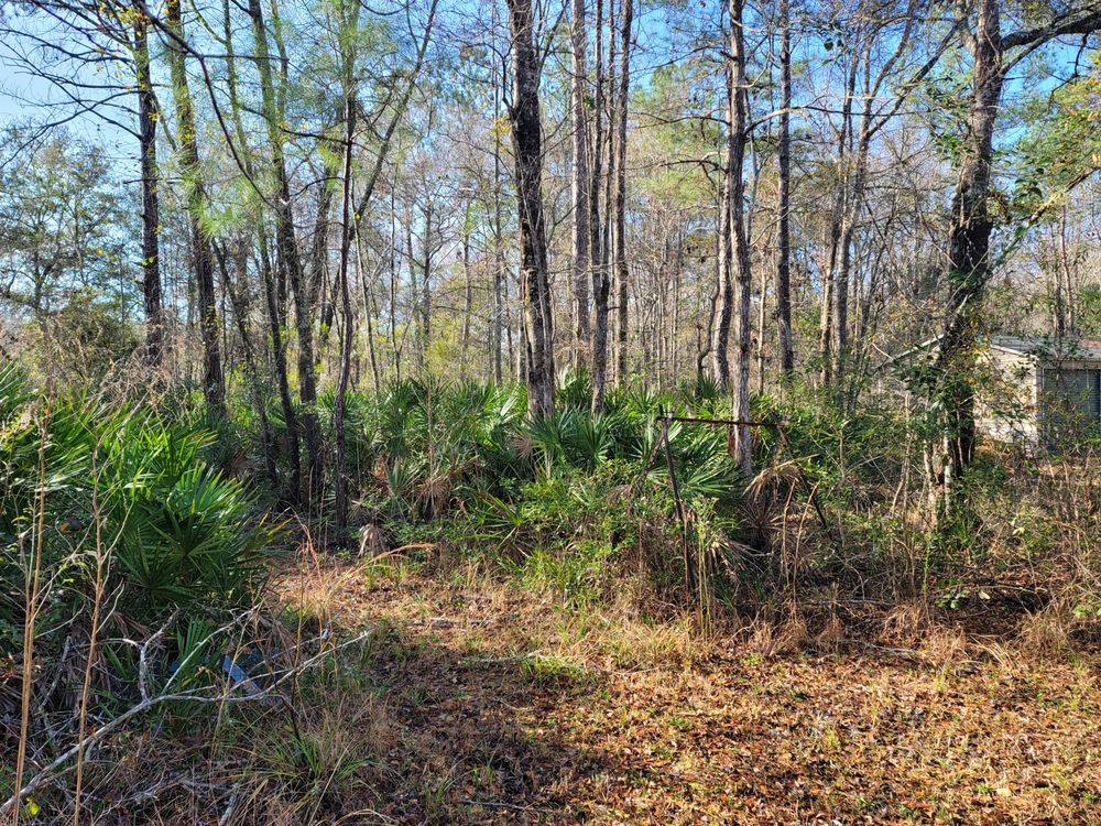 Photo of J&M Forestry Mulching