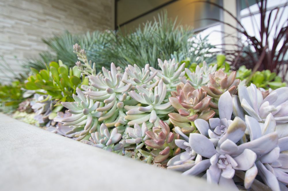 Photo of G Landscape Division