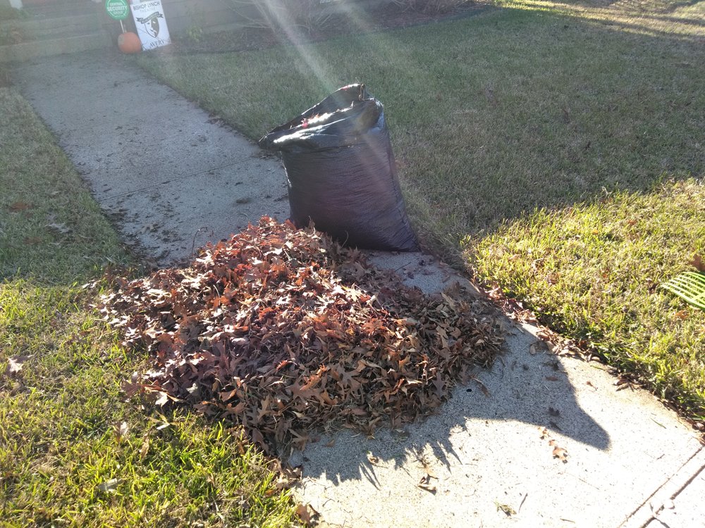 Photo of Rio Verde Lawn Care & Mowing Services