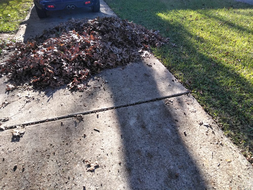Photo of Rio Verde Lawn Care & Mowing Services