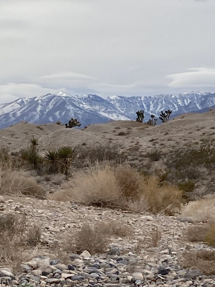 Photo of Las Vegas Paiute Golf Resort