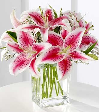 Photo of San Diego Rose Company