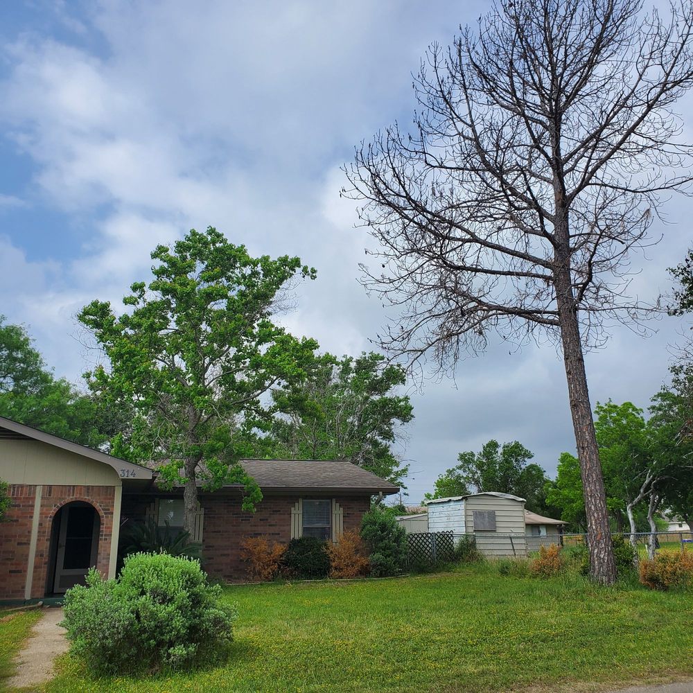 Photo of Barrios Bro's Landscaping