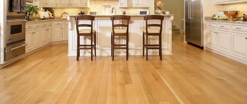 Photo of Forest To Floor