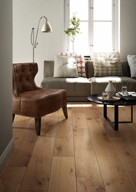 Photo of Forest To Floor