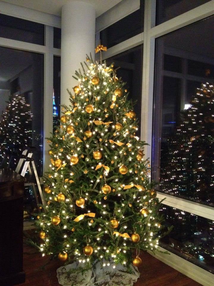 Photo of Tyler's Trees Charlotte