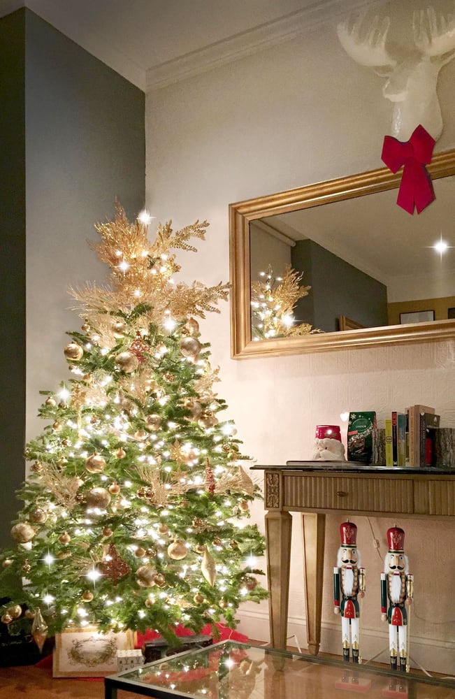 Photo of Tyler's Trees Charlotte
