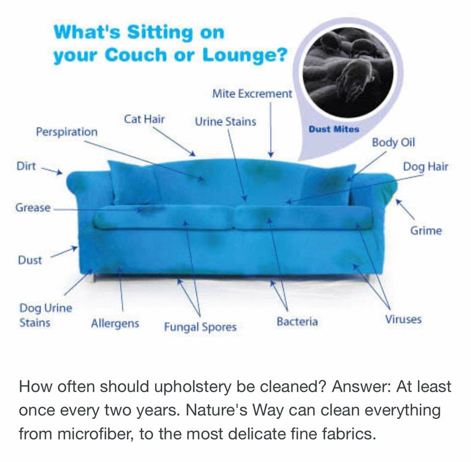 Photo of Nature's Way Carpet Cleaning