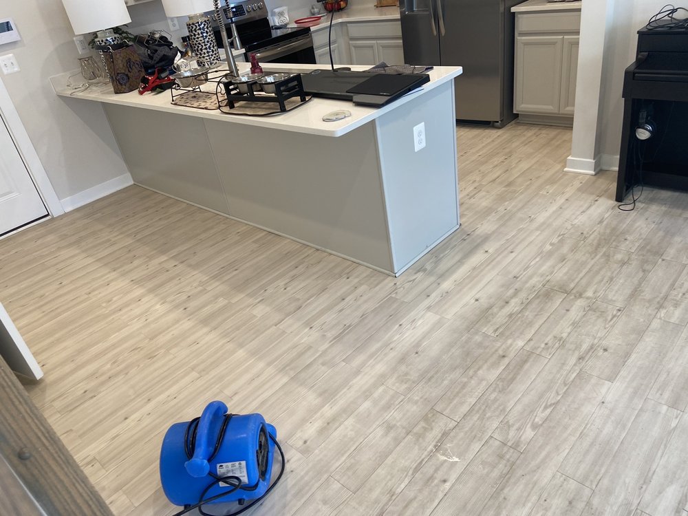 Photo of Edibill Services & Carpet Care