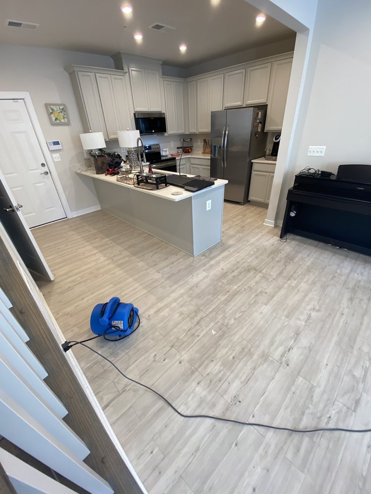 Photo of Edibill Services & Carpet Care
