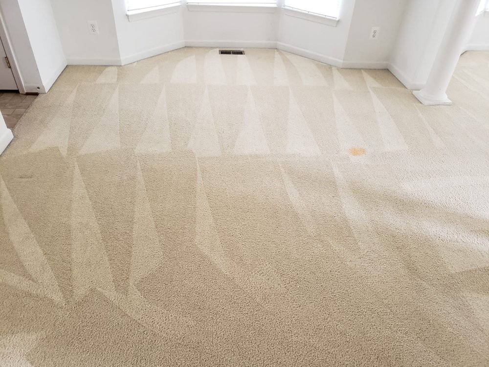 Photo of Edibill Services & Carpet Care